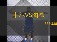  韋爾VS圖恩